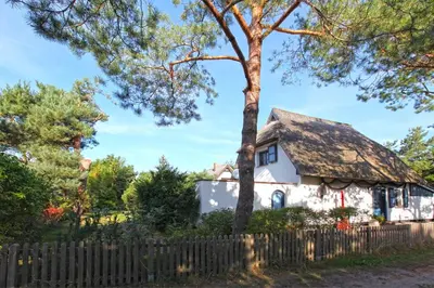 Ein Garten an der Unterkunft Ferienhaus Strandrose