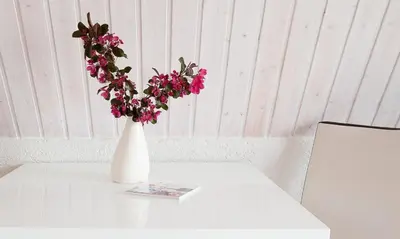 Grundriss der Unterkunft Sonnenblumenhaus 02