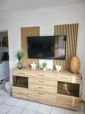 TV/Unterhaltungsangebot in der Unterkunft Ferienhaus Kranichnest