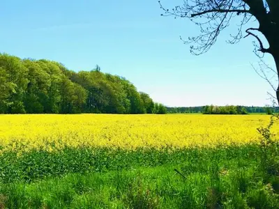 Naturlandschaft in der Nähe der Ferienwohnung