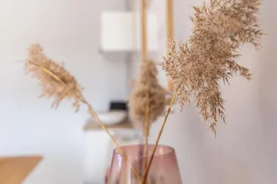 Grundriss der Unterkunft Lieblingsplatz