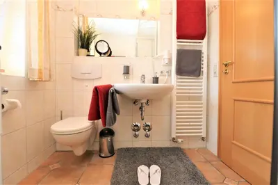 Ein Badezimmer in der Unterkunft Birkenhof App 08