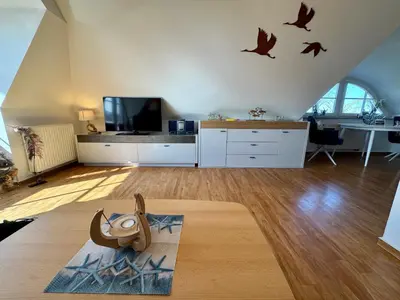 TV/Unterhaltungsangebot in der Unterkunft Birkenhof App 10, Schatzkammer