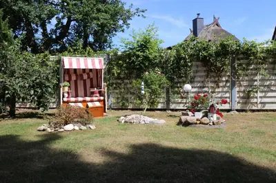 Tiere im Ferienhaus oder in der Nähe