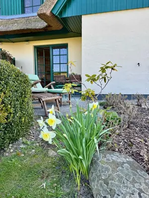 Ein Garten an der Unterkunft Alter Krug App 03, 