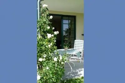 Ein Garten an der Unterkunft Alter Krug App 16