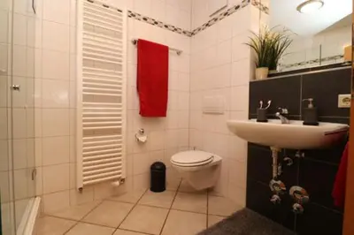 Ein Badezimmer in der Unterkunft Birkenhof App 14