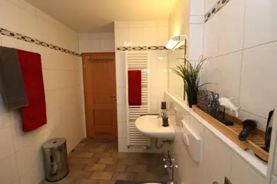 Ein Badezimmer in der Unterkunft Birkenhof App 72