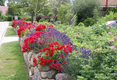 Ein Garten an der Unterkunft Oewern Diek App 25