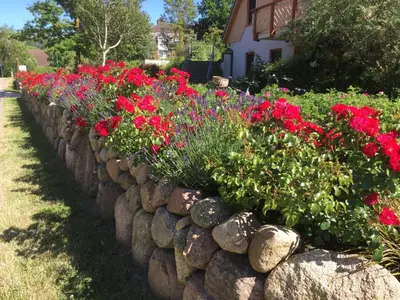 Ein Garten an der Unterkunft Oewern Diek App 30